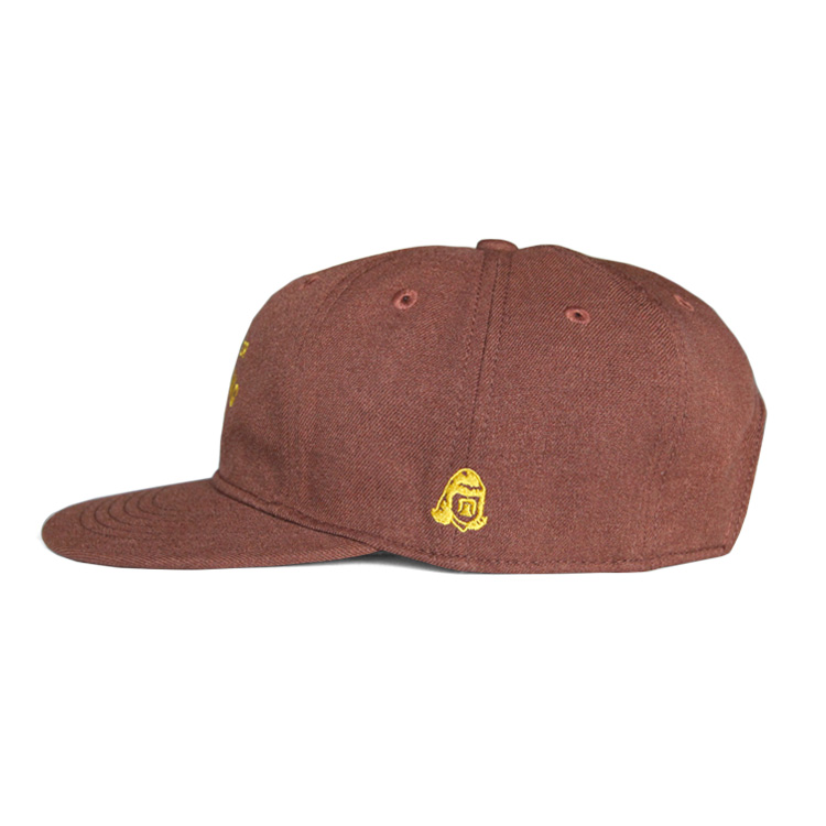 TACOMA FUJI RECORDS GOOD BEER DRINKING TEAM CAP '23 design